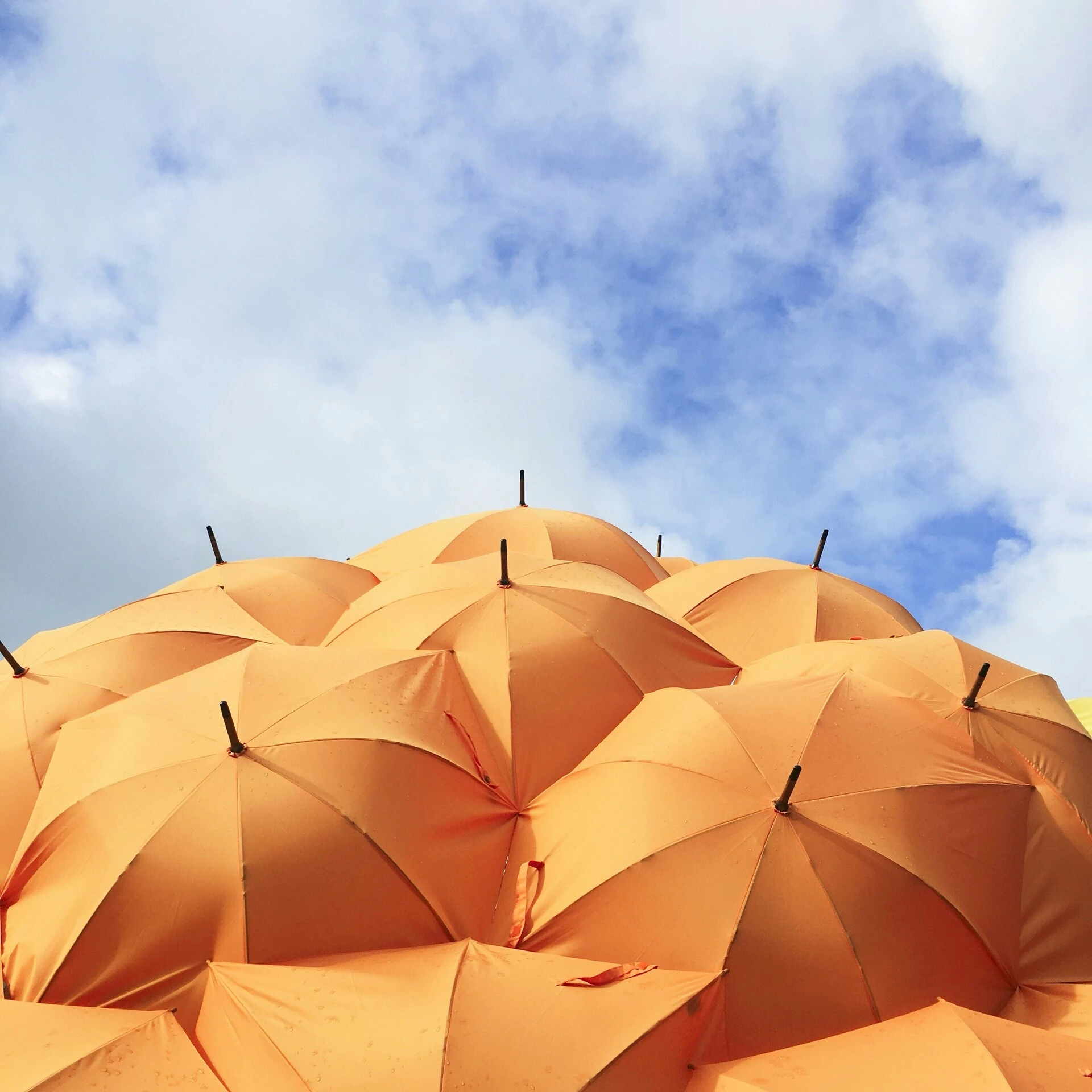 Catrin-johnson-  8-td qd-y-unsplash